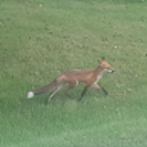 Meet your Posher, Sean